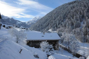 Appartement dans chalet, 9 personnes, 3 chambres, 1 mezzanine - CH30BIS